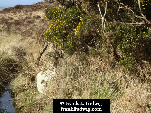 Connemara National Park